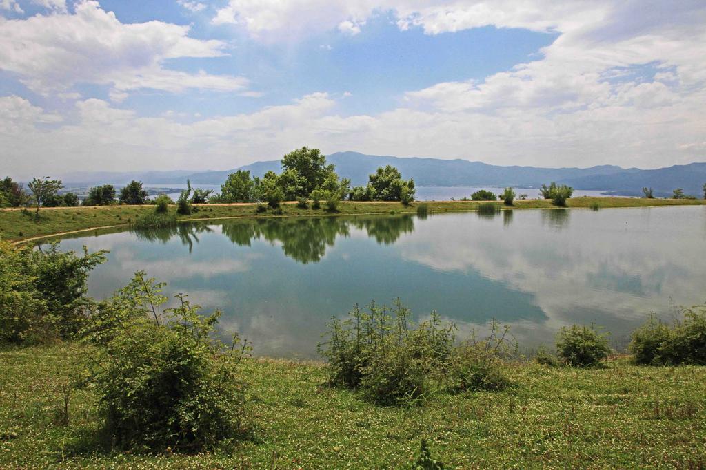 Áno Poróïa Refanidis Natural Luxury Hotel מראה חיצוני תמונה